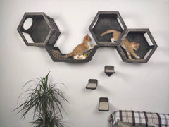 “Play & Rest” Hexagon shelves set – Dark