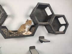 “Play & Rest” Hexagon shelves set – Dark