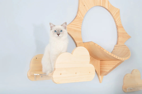 WALL-MOUNTED CLOUD SHAPED CAT PERCHES (PINE)