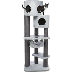 The Ragdoll Pirro Cat tree